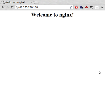 Welcome to Nginx screen